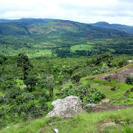 How much would it cost to travel to Guinea? - 2026 Guide