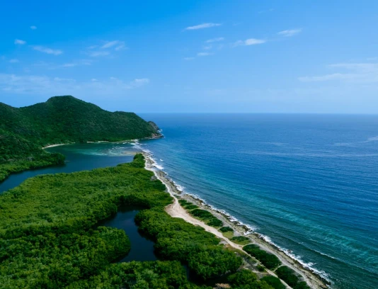 How much would it cost to travel to Venezuela? - 2026 Guide