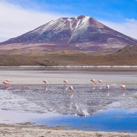 What is the average cost to travel to Bolivia? - 2026 Guide