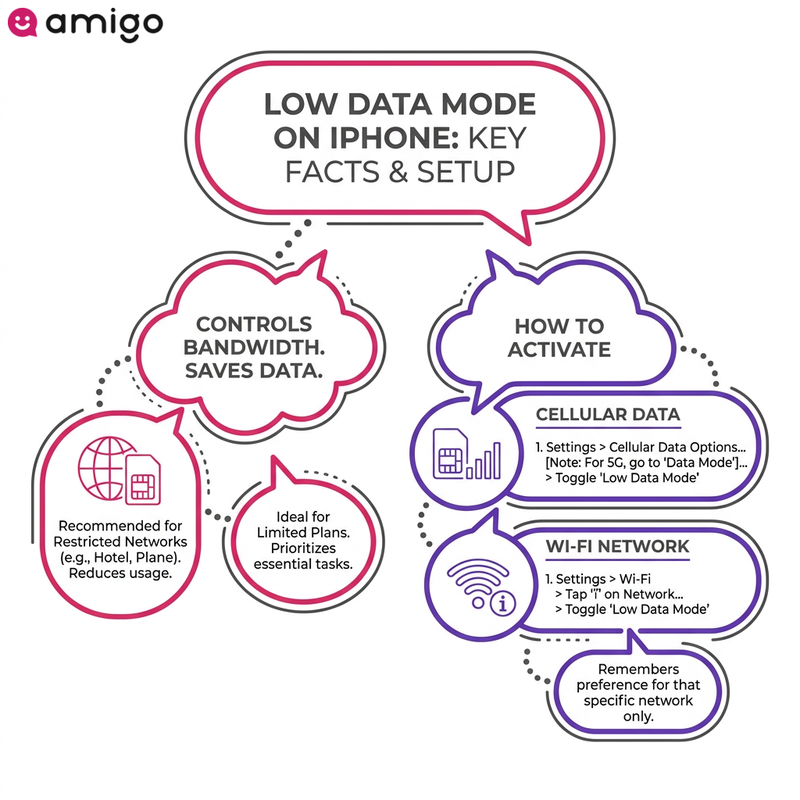 Step-by-step guide infographic showing how to turn on Low Data Mode for cellular data and specific Wi-Fi networks in iPhone settings.