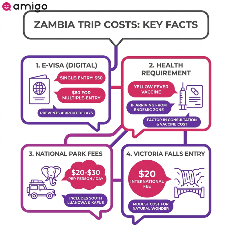 Infographic guide listing essential entry requirements, visa fees, national park entry costs, and Victoria Falls admission prices for Zambia.