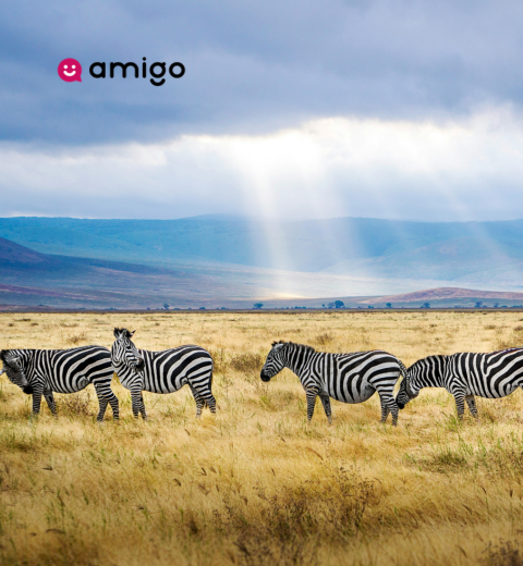How much does it cost to go to Tanzania and see the main attractions? - 2026 Guide