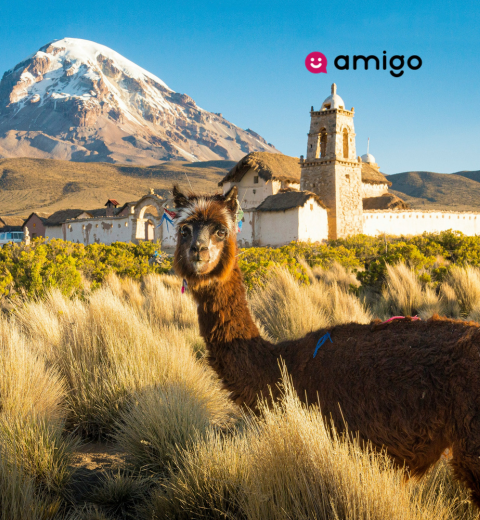 What is the average cost to travel to Bolivia? - 2026 Guide