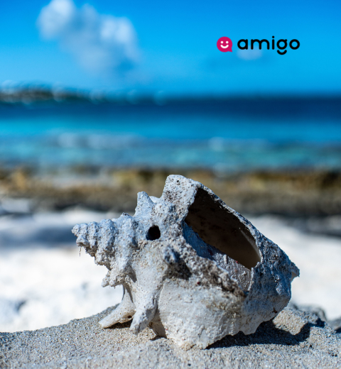 How much does it cost to vacation in the Turks and Caicos Islands? - 2026 Guide