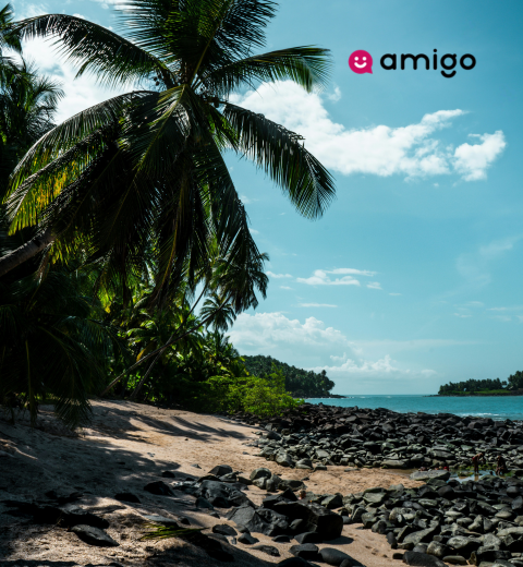 How much money do I need for a trip to French Guiana? - 2026 Guide