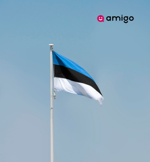 How much money do I need to travel to Estonia? - 2026 Guide