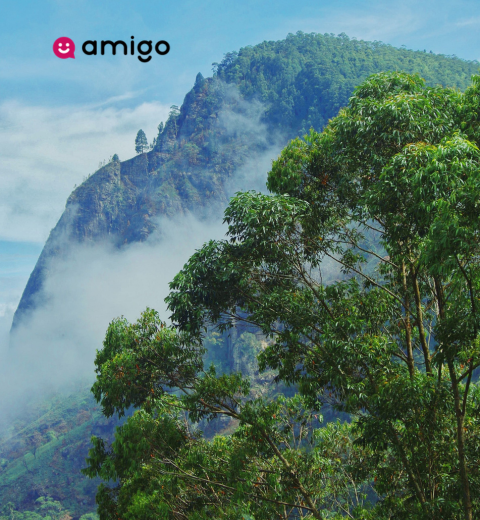 How much money do I need for a trip to Sri Lanka? - 2026 Guide