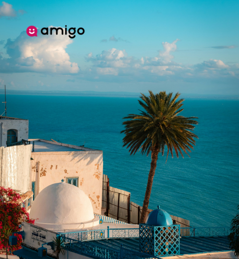 What is the average cost to travel to Tunisia? - 2026 Guide