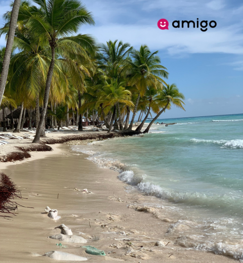 What does a trip to the Dominican Republic cost? - 2026 Guide